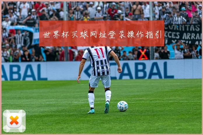 世界杯买球网址登录操作指引