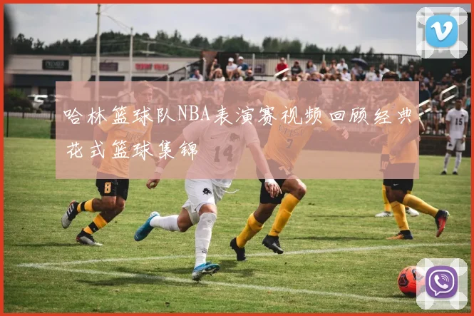 哈林篮球队NBA表演赛视频回顾经典花式篮球集锦