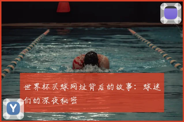 世界杯买球网址背后的故事:球迷们的深夜秘密