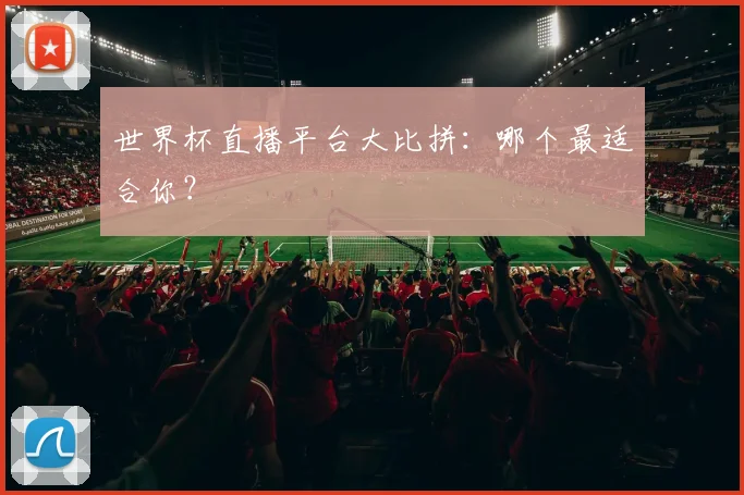 世界杯直播平台大比拼：哪个最适合你？