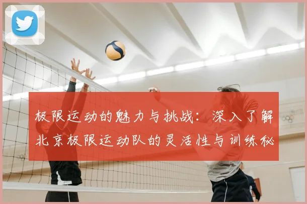 极限运动的魅力与挑战：深入了解北京极限运动队的灵活性与训练秘诀