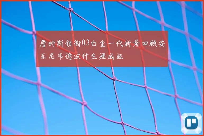 詹姆斯领衔03白金一代新秀回顾安东尼韦德波什生涯成就