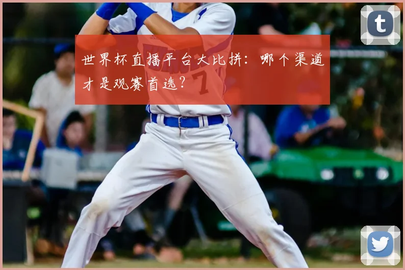 世界杯直播平台大比拼：哪个渠道才是观赛首选？