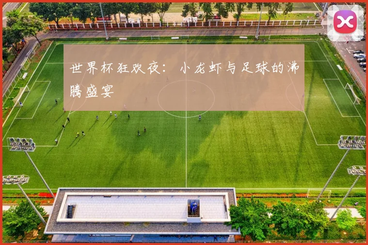 世界杯狂欢夜：小龙虾与足球的沸腾盛宴