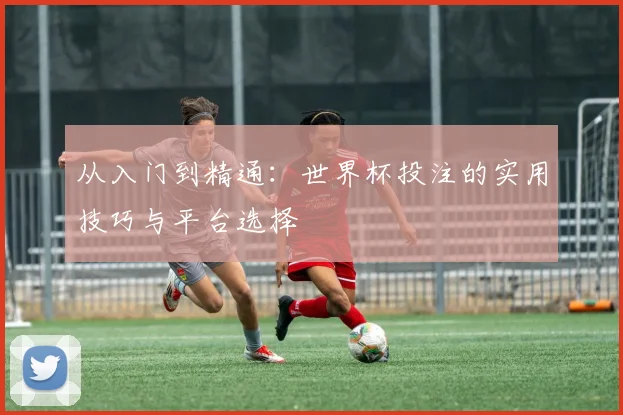从入门到精通：世界杯投注的实用技巧与平台选择